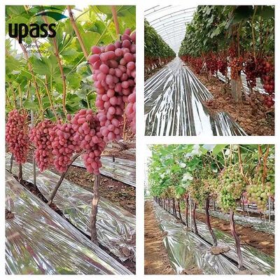Película Agrícola de Alumínio PE Prateado em Rolo, Mylar Refletivo para Jardim, Cobertura de Solo para Frutíferas, Produto Plástico