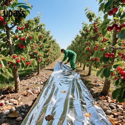 Filme Mulch Plástico Prateado Refletivo de Moldagem por Sopro Agrícola Premium - Biodegradável Prevenção de Ervas Daninhas para Cerejeiras
