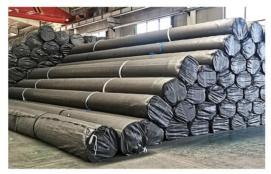 High Quality Modern Design HDPE Outdoor Pond Tilapia Fish Tanks High Grade Plastic Liner with Geomembrane Molding