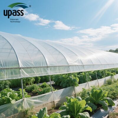 UF508 Anti-UV Anti-Ageing Filme de Estufas Agrícolas 5000 metros quadrados MOQ 100x55x55cm